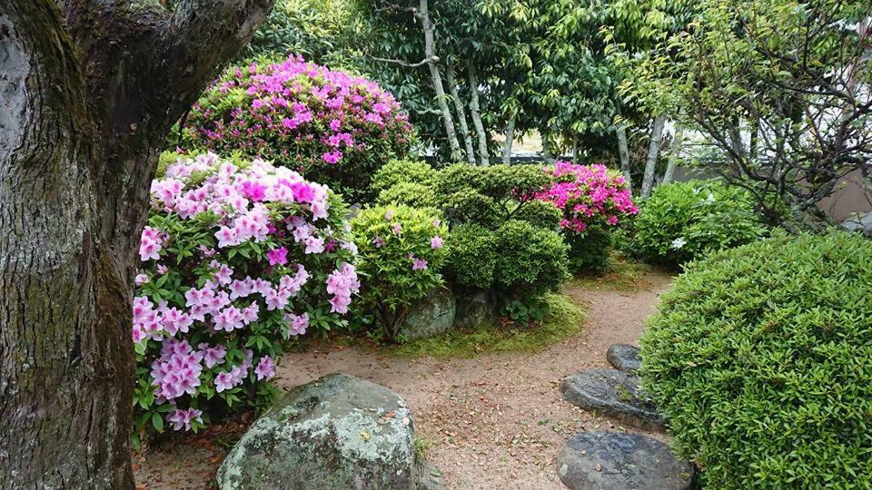 Setonejuan Hotel Takamatsu Eksteriør billede